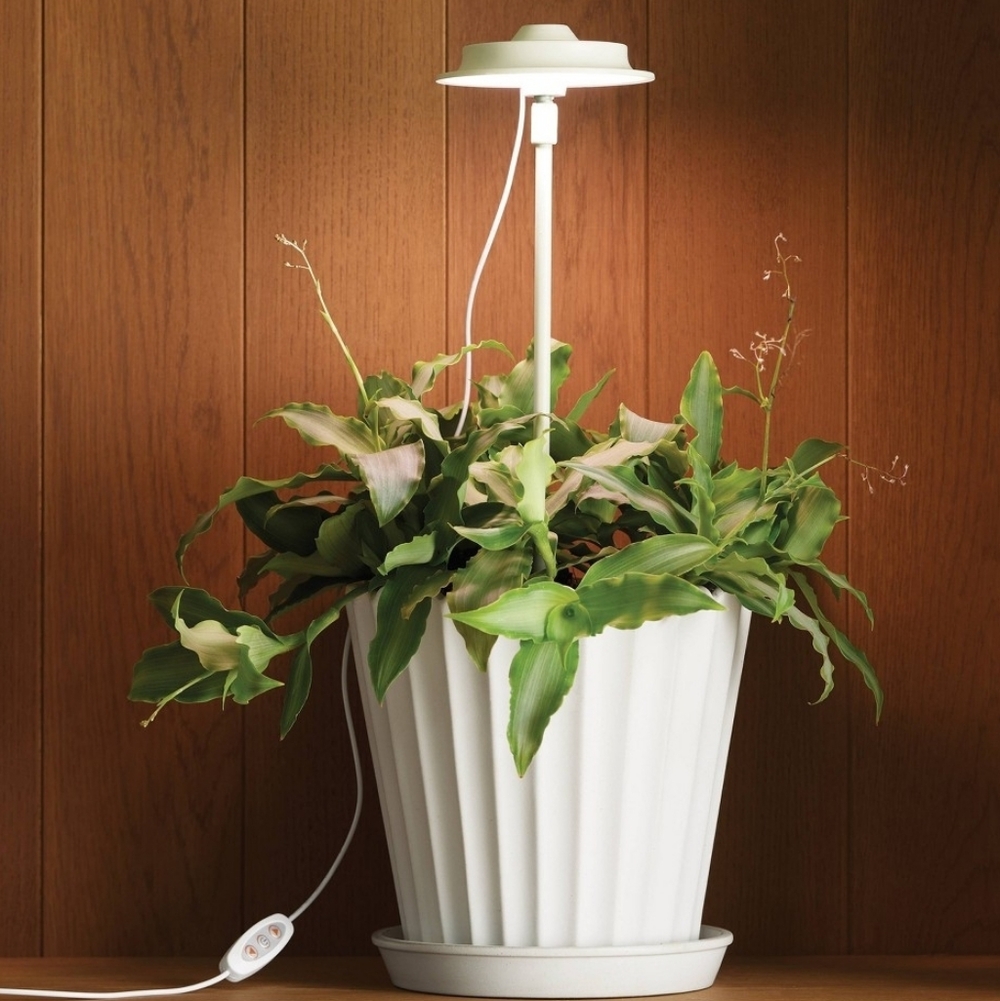 Hearth & Hand LED Indoor Plant Grow Light